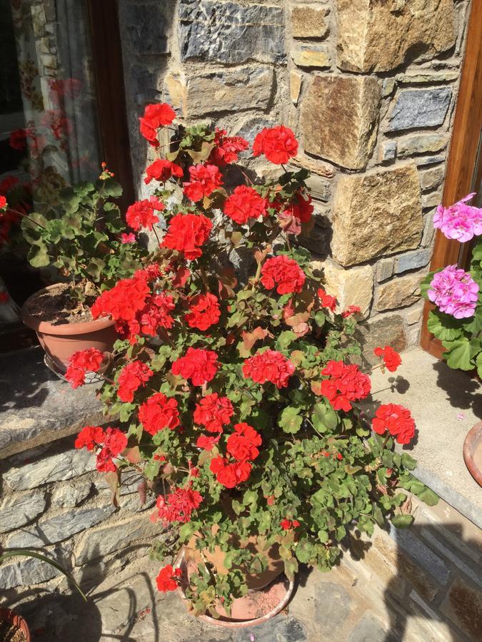 Hostal El Quinta Espinavell Εξωτερικό φωτογραφία